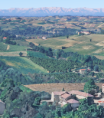 COSTIGLIOLE D'ASTI (AT) IN POSIZIONE COLLINARE - CASCINA TIPICA PIEMONTESE CON VISTA PANORAMICA , GIARDINO E TERRENO - AMPIA METRATURA, VOLENDO POSSIBILE BIFAMILIARE - Euro 198.000
